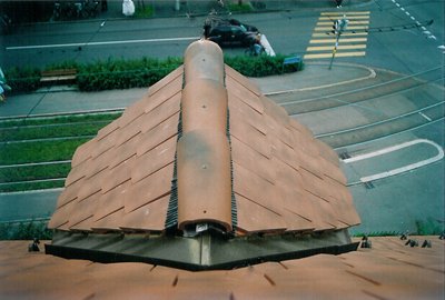 bild1.jpg